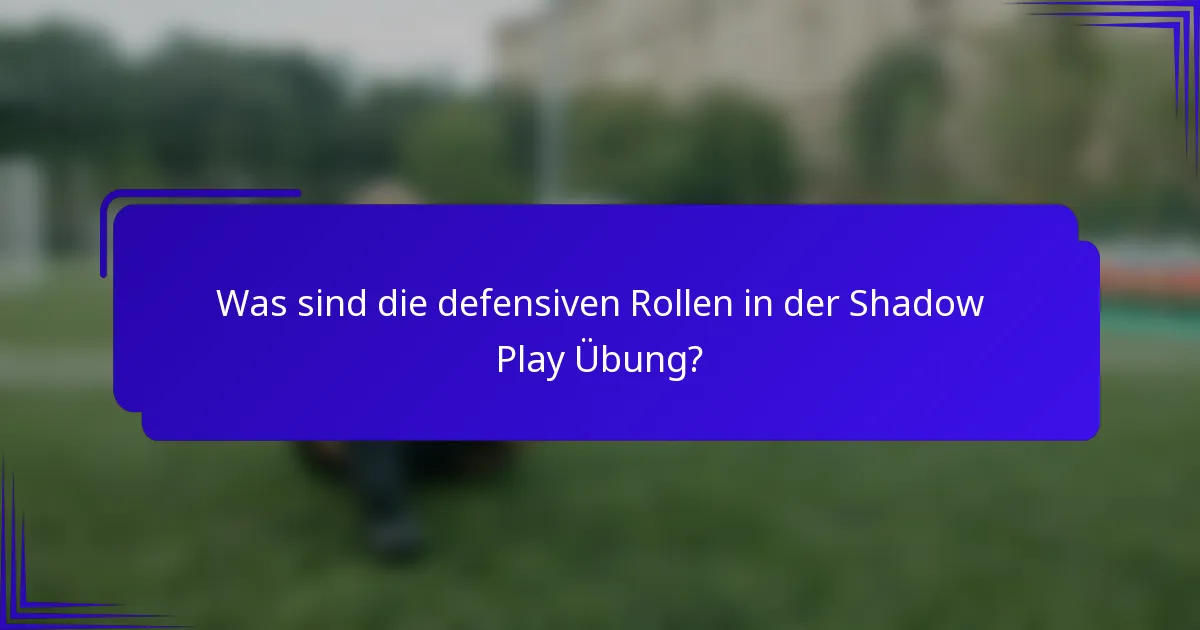 Was sind die defensiven Rollen in der Shadow Play Übung?