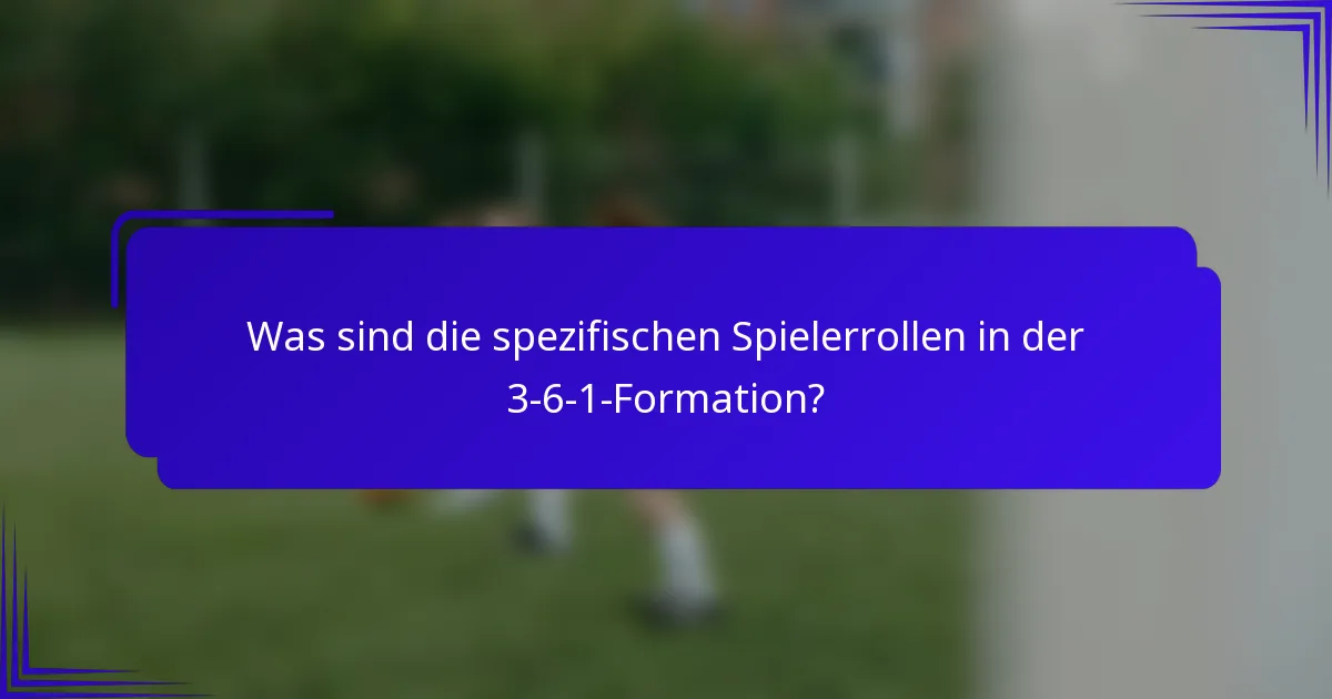 Was sind die spezifischen Spielerrollen in der 3-6-1-Formation?